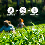 Auric Green Tea - Loose Leaf available in natural flavors Lemon Ginger, Tulsi Mint and Detox  Combo