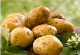 Vvegano Veggies - Potato 1kg