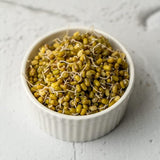 Buy Moong Bean Sprouts - Pack of 4 online for the best price of Rs. 430 in India only on Vvegano