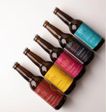 Buy Assorted Kombucha - Set of 3 online for the best price of Rs. 450 in India only on Vvegano