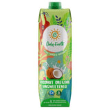 Buy Only Earth Coconut Drink Unsweetened - 1 Litre online for the best price of Rs. 300 in India only on Vvegano