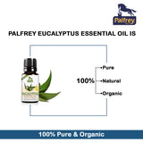 Buy Palfrey Natural Eucalyptus Essential Oil - 15 ml| 100% Pure & Natural for Hair Growth, Skin online for the best price of Rs. 199 in India only on Vvegano