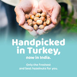 Buy Flyberry Premium Hazelnuts online for the best price of Rs. 249 in India only on Vvegano