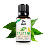 Buy Palfrey Tea Tree Oil for Skin Acne - 15 ml Pure Natural for Skin Acne, Pimple, Face, Hair online for the best price of Rs. 199 in India only on Vvegano
